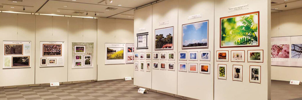 展示風景