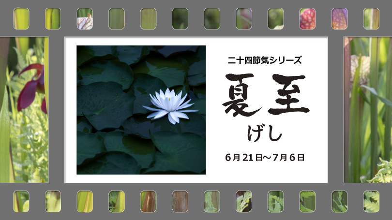 2025年6月写真展・展示