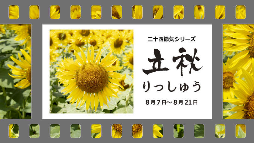 2025年8月写真展・展示