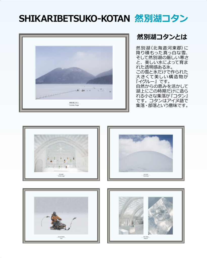 2025年2月の展示例